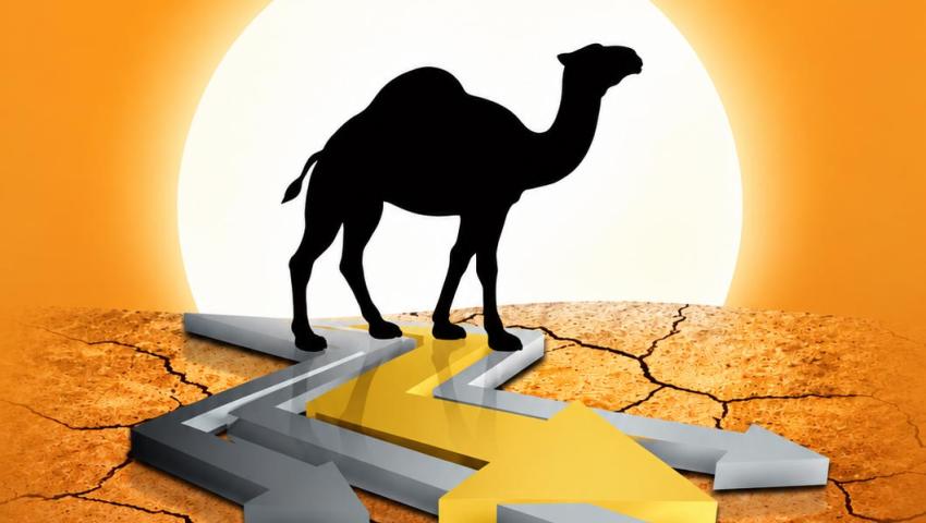 همایش کنگره سال 1388