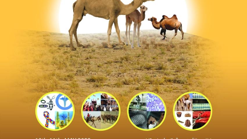 همایش کنگره سال 1401