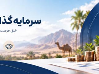 سرمایه گذاریی و توسعه