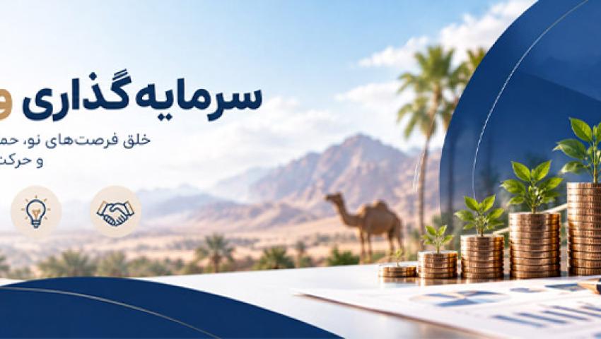سرمایه گذاریی و توسعه