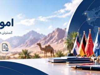 امور بین الملل