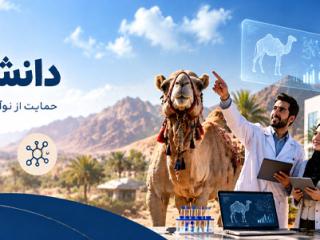 دانش بنیان ها