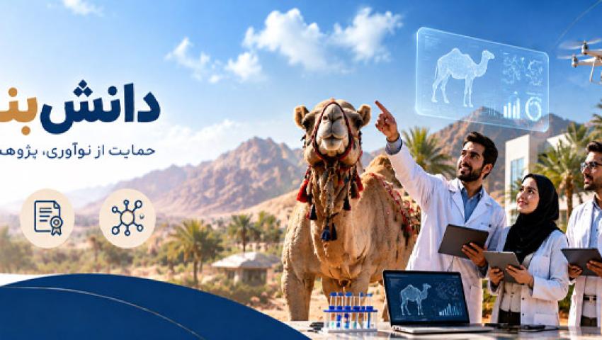 دانش بنیان ها