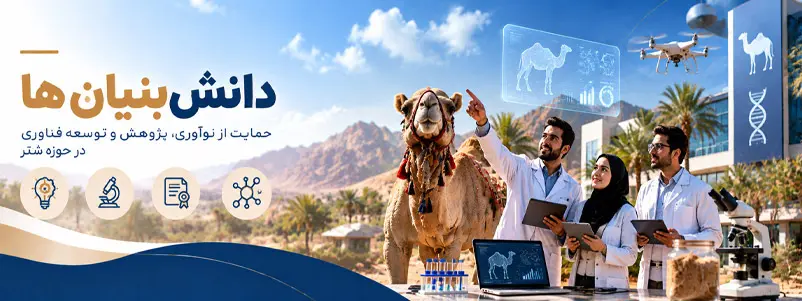 دانش بنیان ها